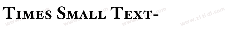 Times Small Text字体转换